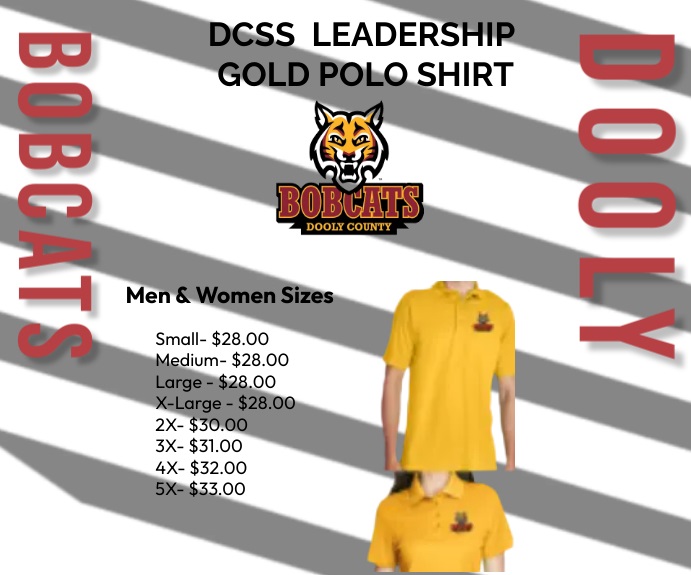 DCSS Leadership Polo Shirt